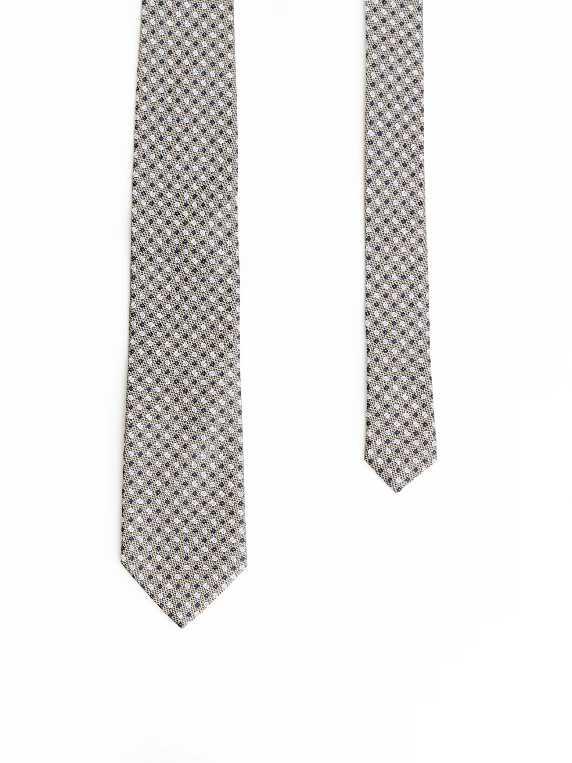 Brown/Silver Floral Silk Tie